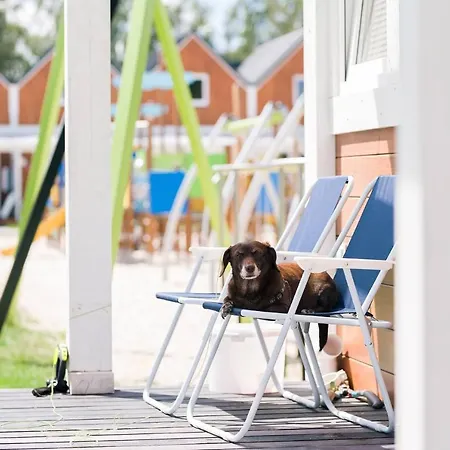 Maxcamp W Dziwnowie Dziwnów