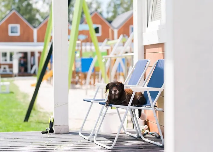 Maxcamp W Dziwnowie Dziwnów